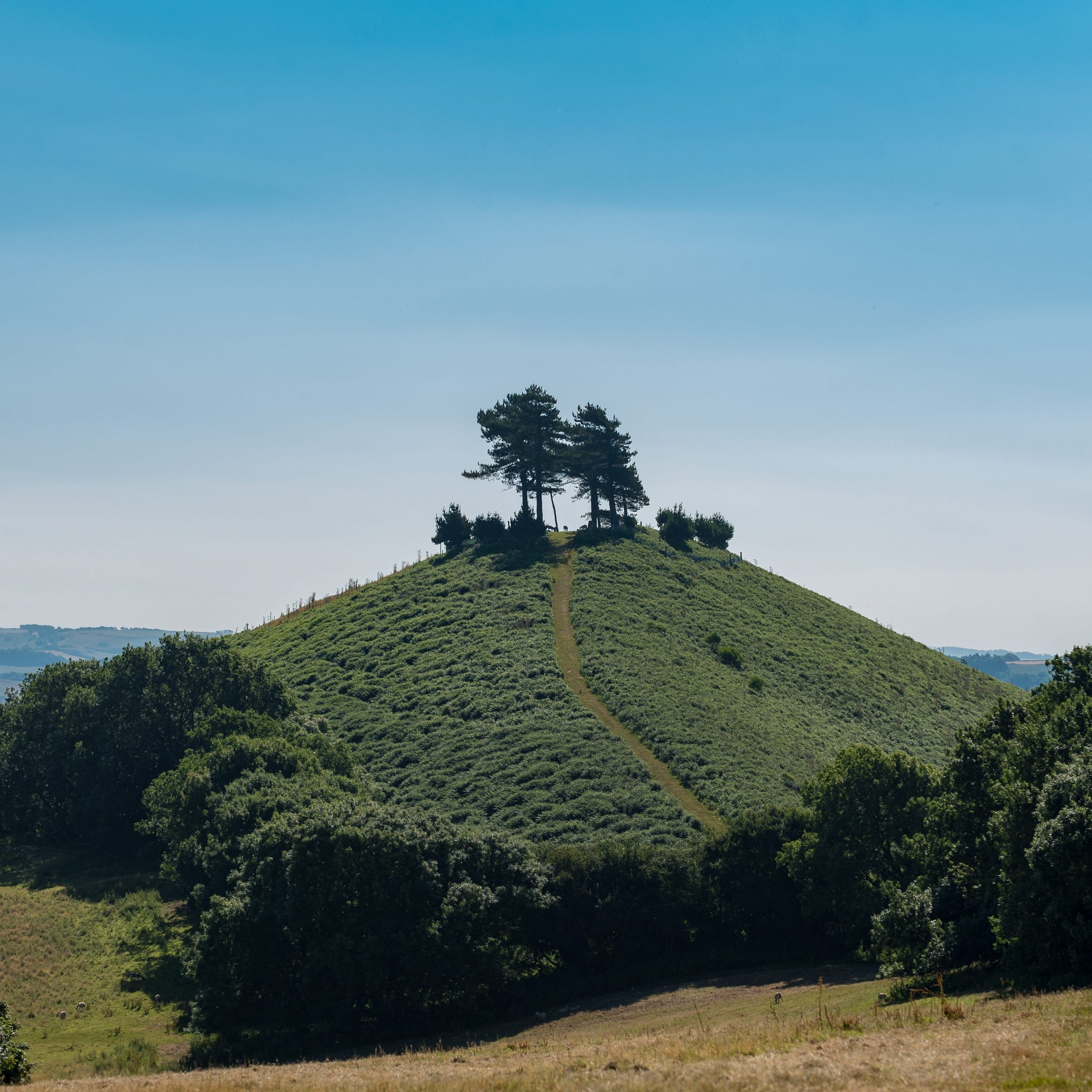 Dorset walks up colmers hill