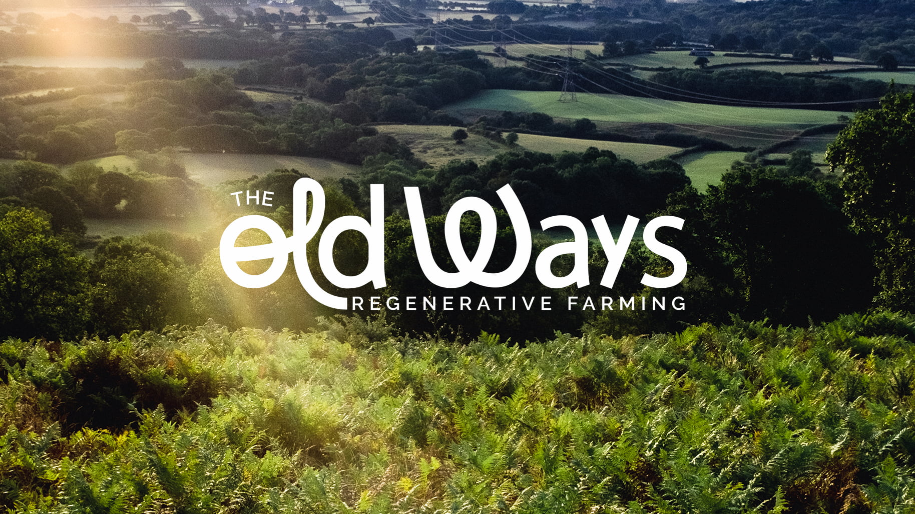 Symondsbury Spotlight: Alasdair Mcnab, Owner of The Old Ways