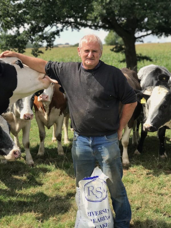 A man in a black jumper with blue jeans stood next to a cow in a field, stroking its head, with a tree and other cows behind him