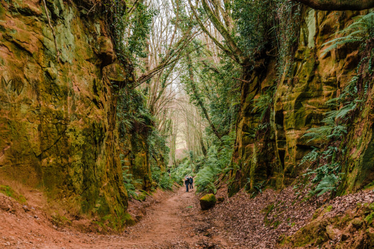 Woodland path through The Holloways with two people walking in the distance