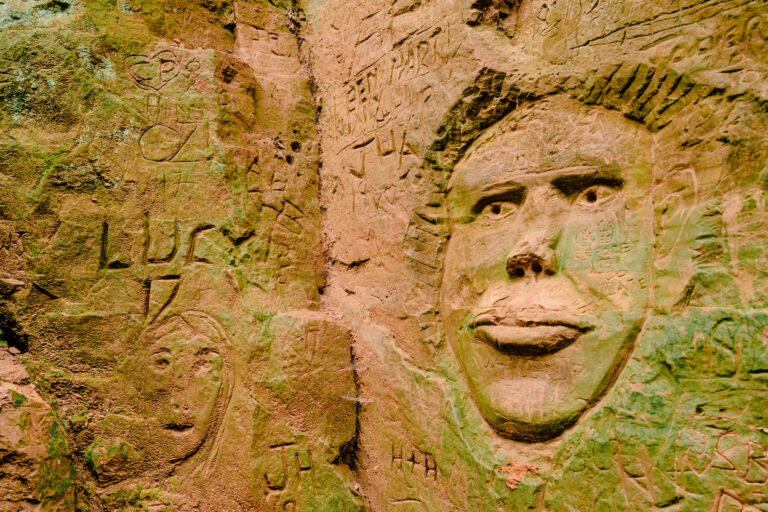 Carvings on a wall in The Holloways woodland area on Shute's Lane