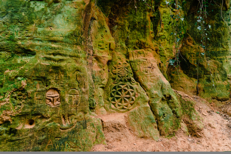 Carvings on a wall in The Holloways woodland area on Shute's Lane