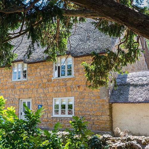 Duck Street Cottage with a tree and bushes in front of the cottage