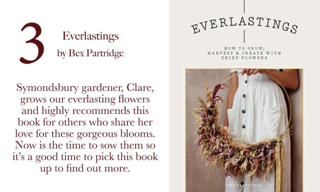 Overview and front cover of the book 'Everlastings' by Bex Partridge