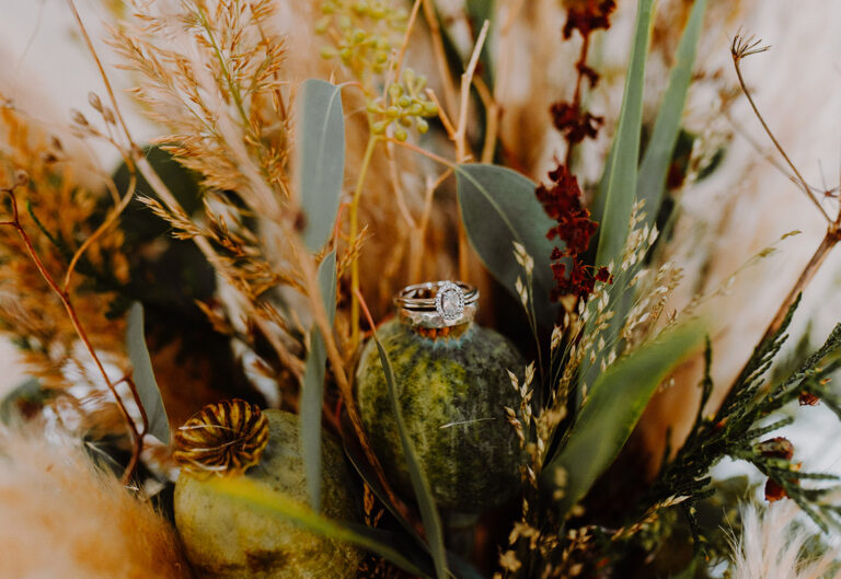 An engagement ring sat on a brown and green plant