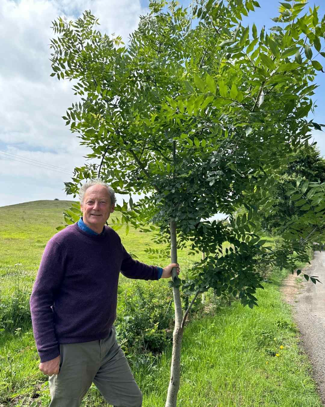 Standing Tall: The Trees of Symondsbury Estate